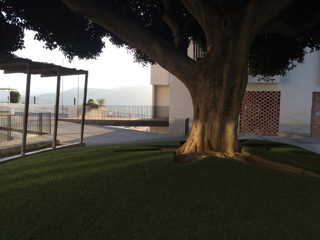 埃尔乔罗Atico Guadalhorce - Mirador Privado Con Barbacoa Y Solarium公寓 外观 照片